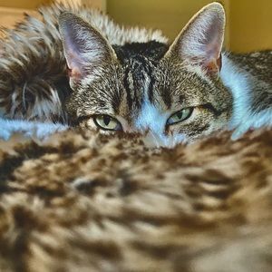 Meet your Posher, Lia